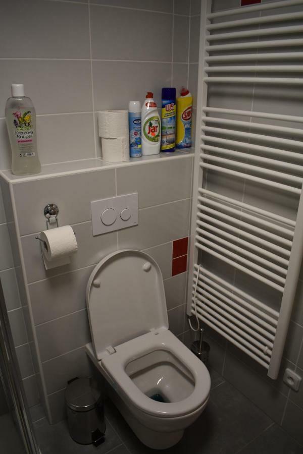 Loučná nad Desnou Apartma Fara מראה חיצוני תמונה